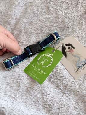 Harry Barker Adjustable Dog Collar, Navy and Turquoise, 3/4 inch, 8-14 inch